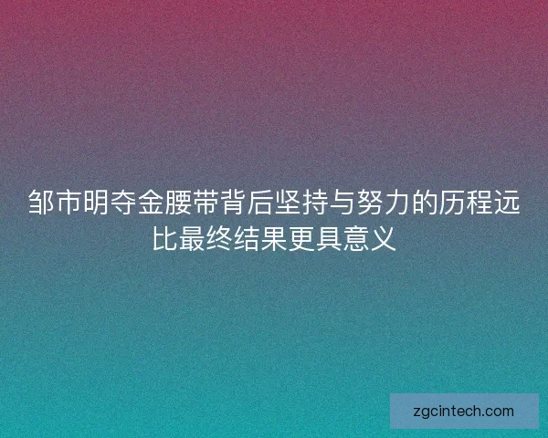 邹市明夺金腰带背后坚持与努力的历程远比最终结果更具意义